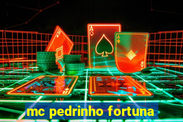 mc pedrinho fortuna